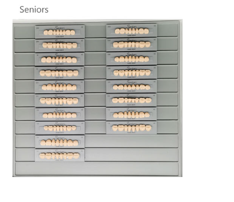 Seniors resin teeth series